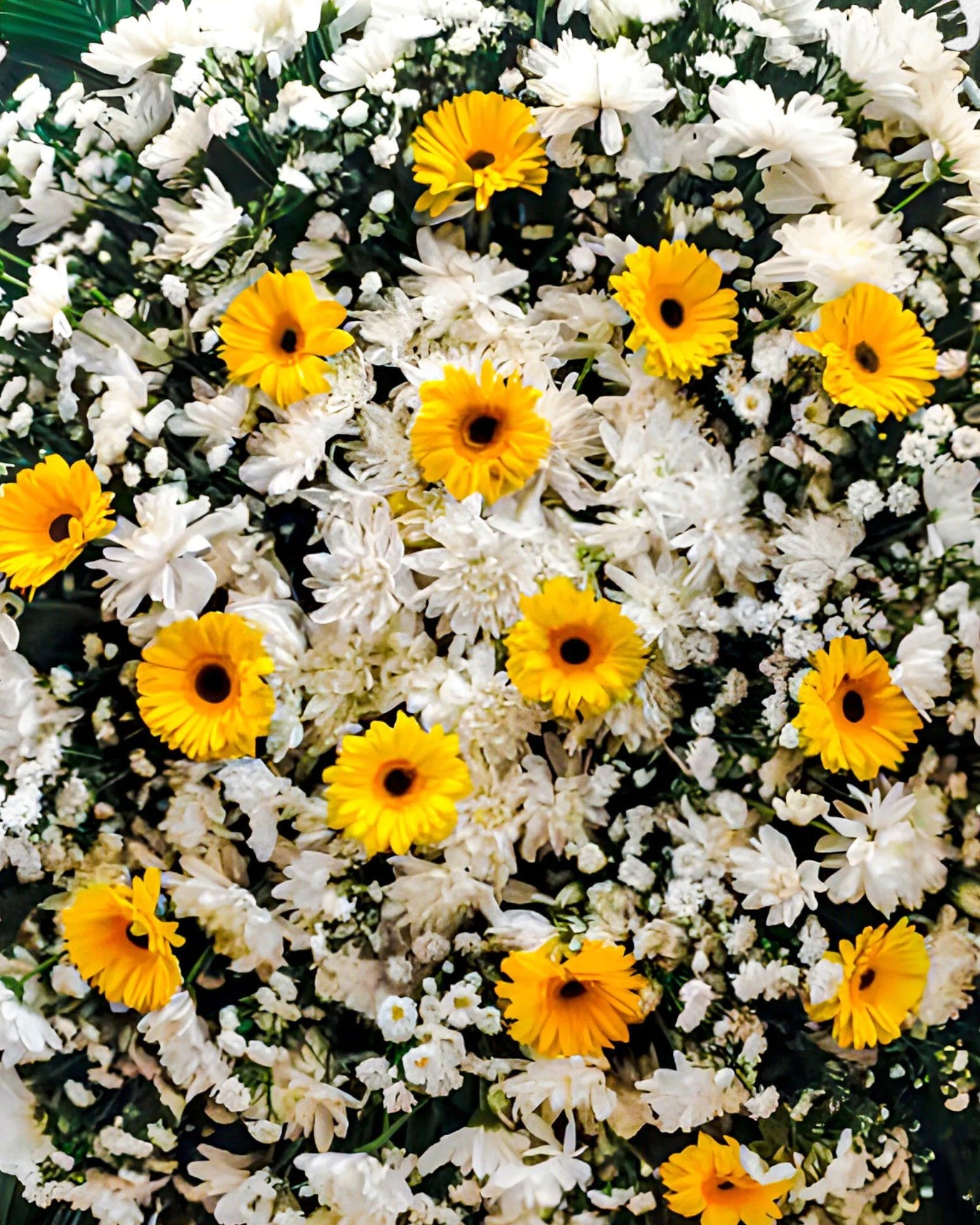 Coroa Tradicional 8 - Imagem 3