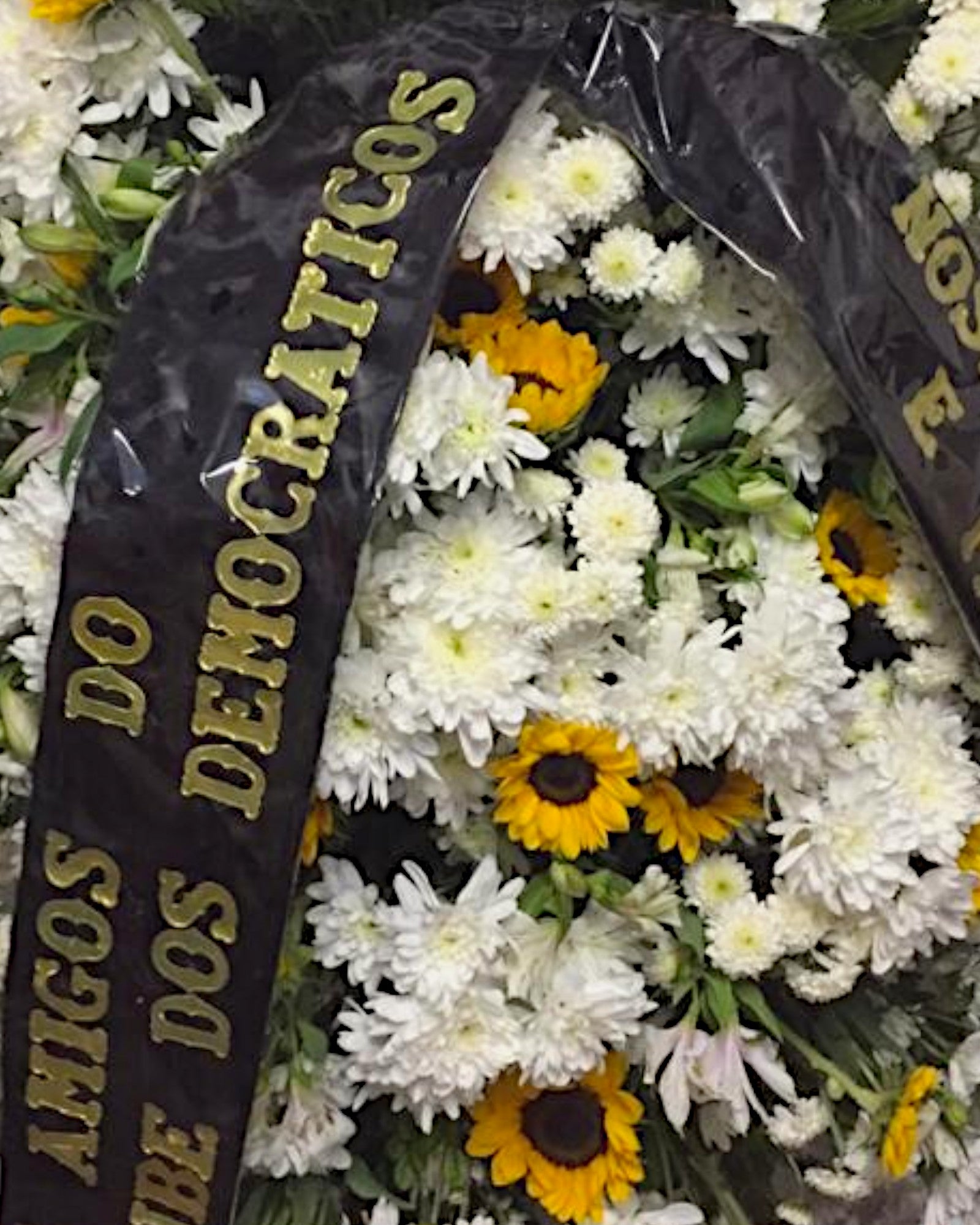 Coroa Nobre 2 - Imagem 3